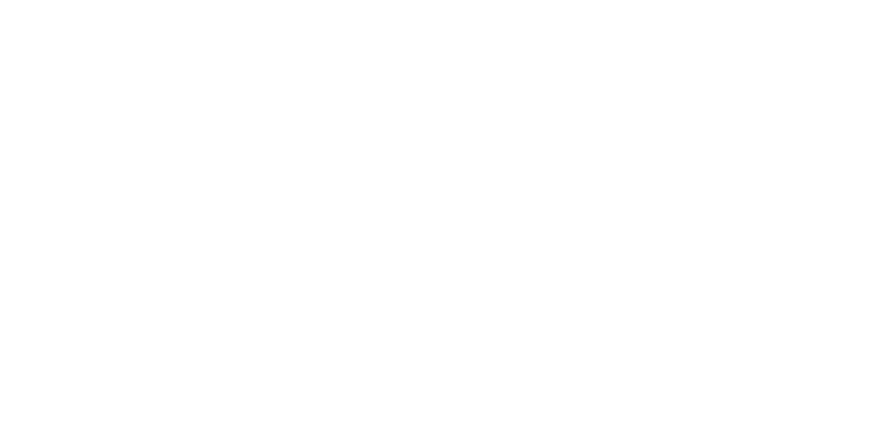 luxusnipradelko_logo